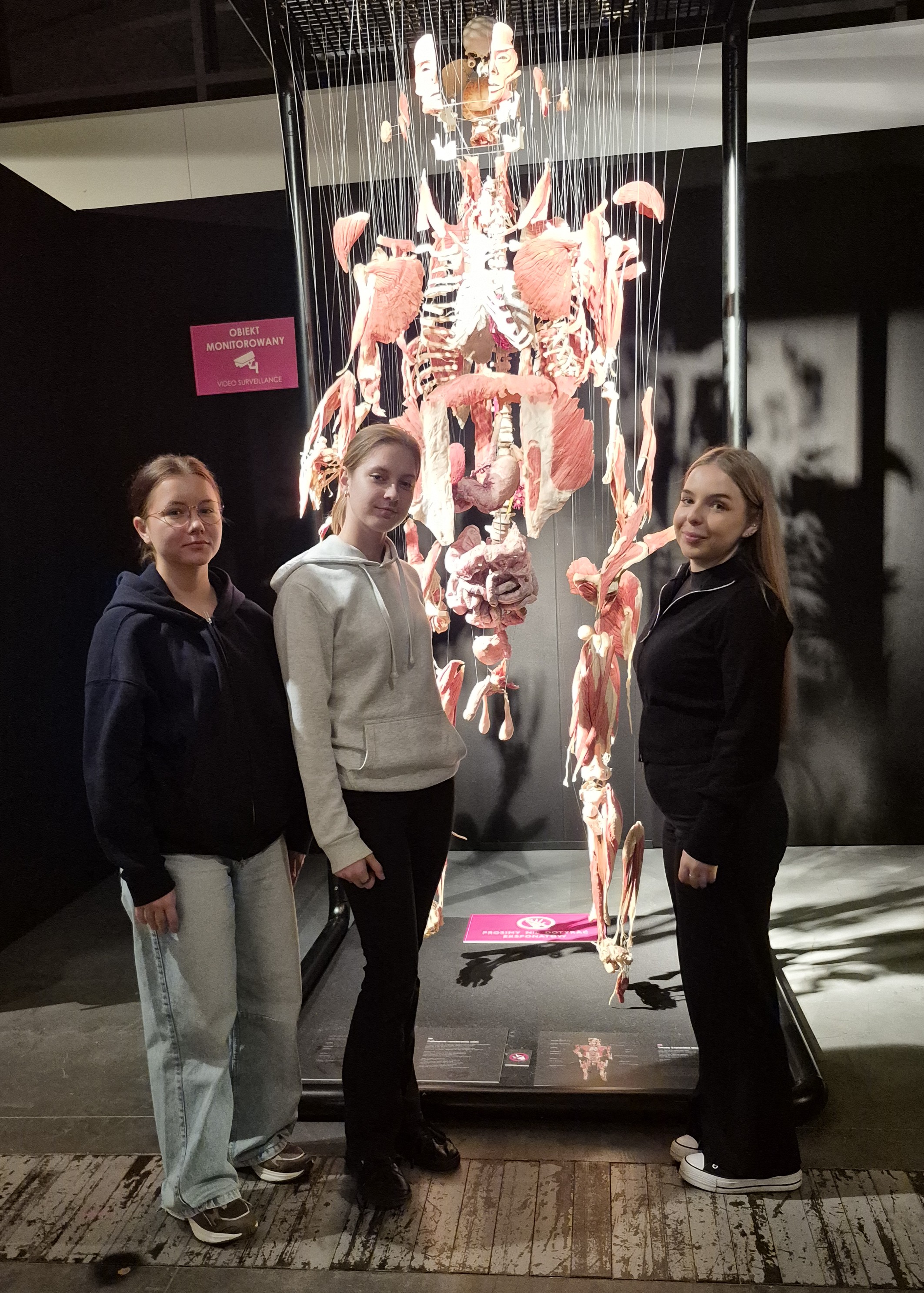 anatomia czlowieka w praktyce 11