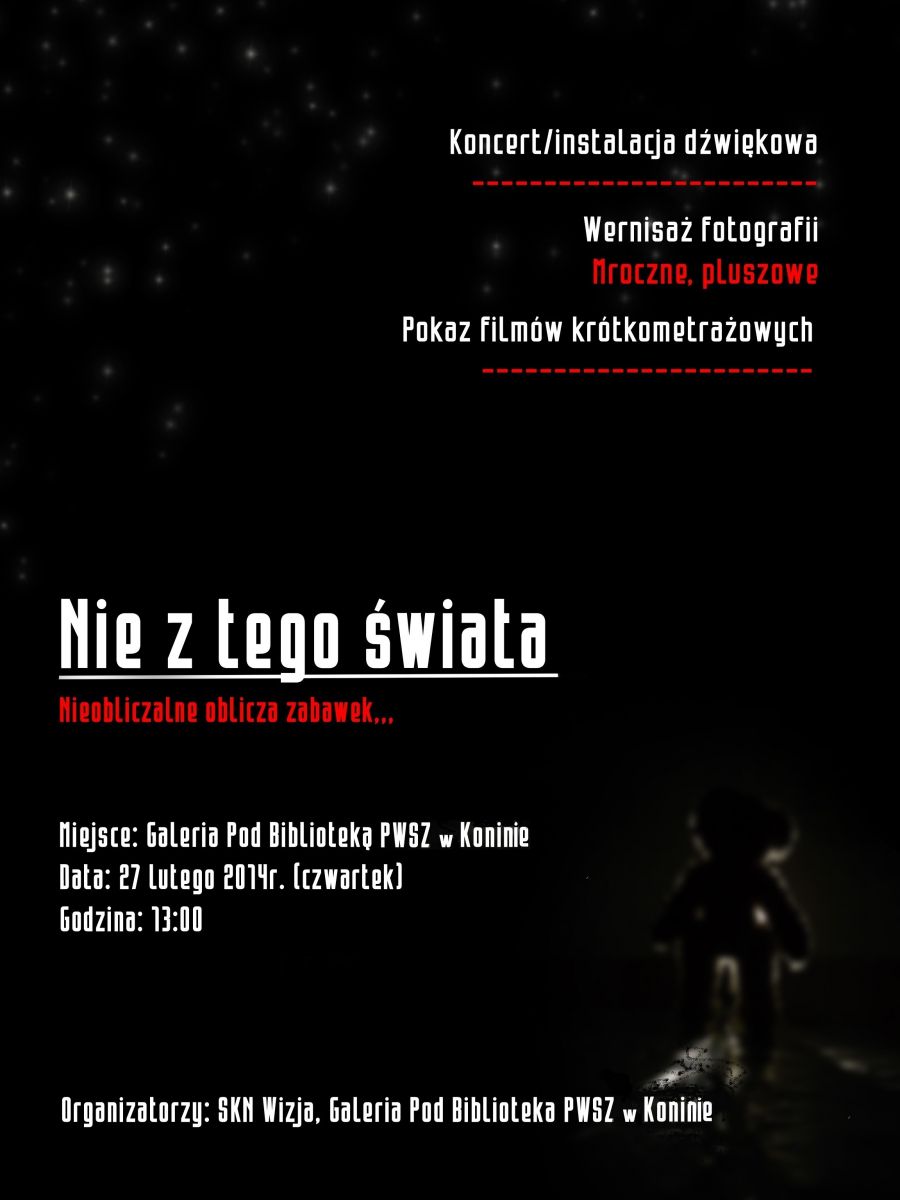 plakat skn wizja kopia
